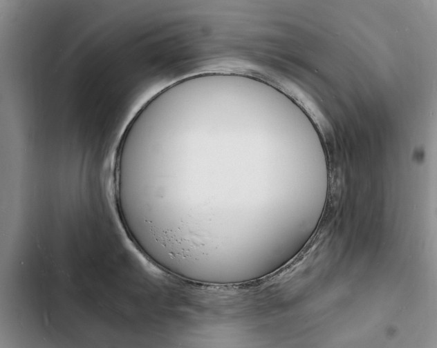 X0000103251103200808281051