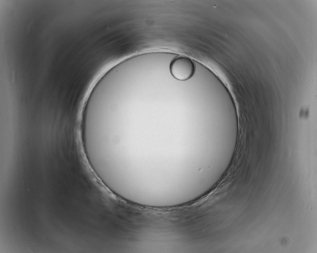 X0000103251104200808281051