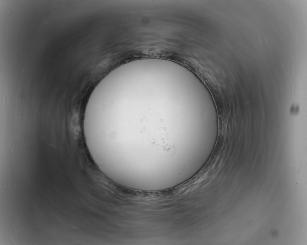 X0000103251106200808281050