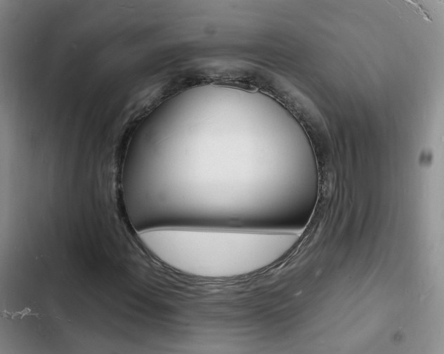 X0000103251108200808281050