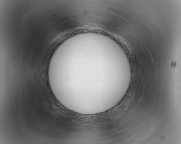 X0000103251110200808281050
