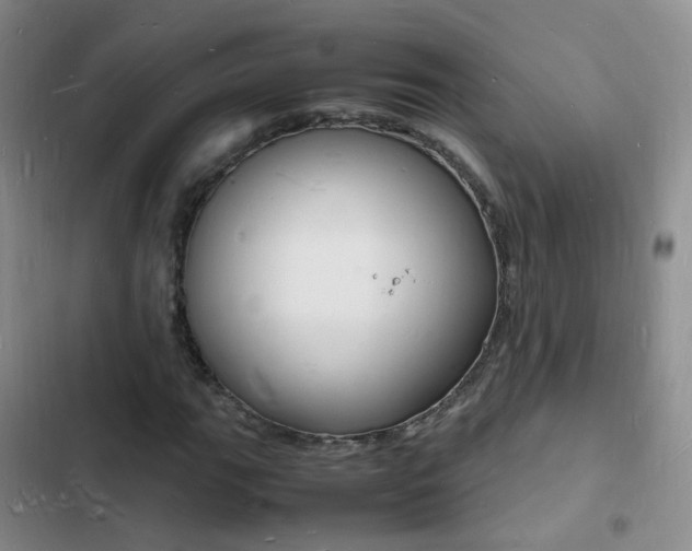 X0000103251111200808281050