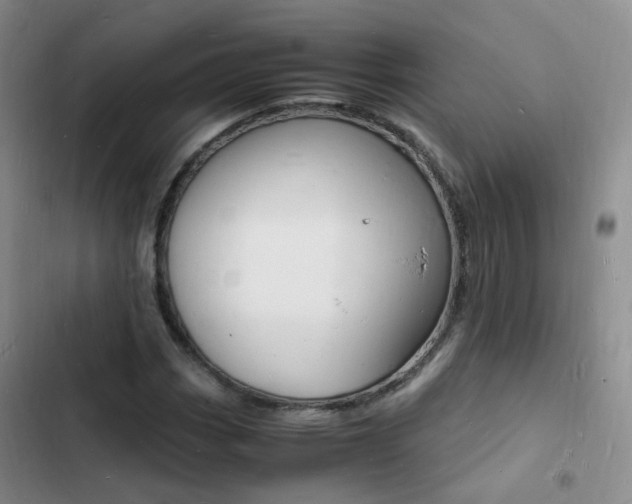 X0000103251113200808281050