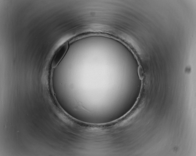 X0000103251114200808281050