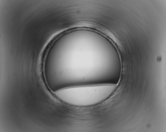 X0000103251116200808281050
