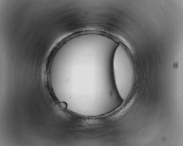 X0000103251117200808281050