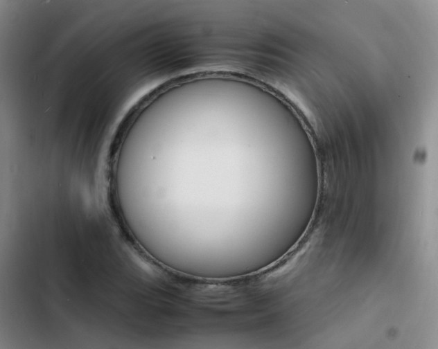 X0000103251119200808281050