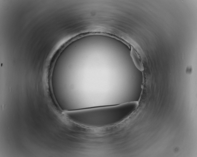X0000103251120200808281050
