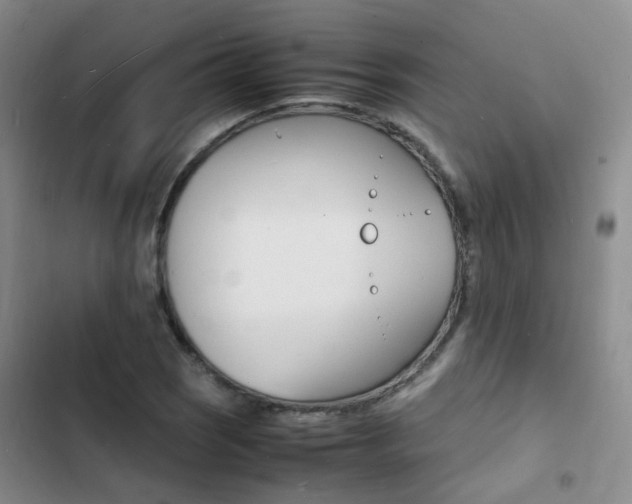 X0000103251121200808281050