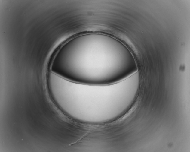 X0000103251122200808281050