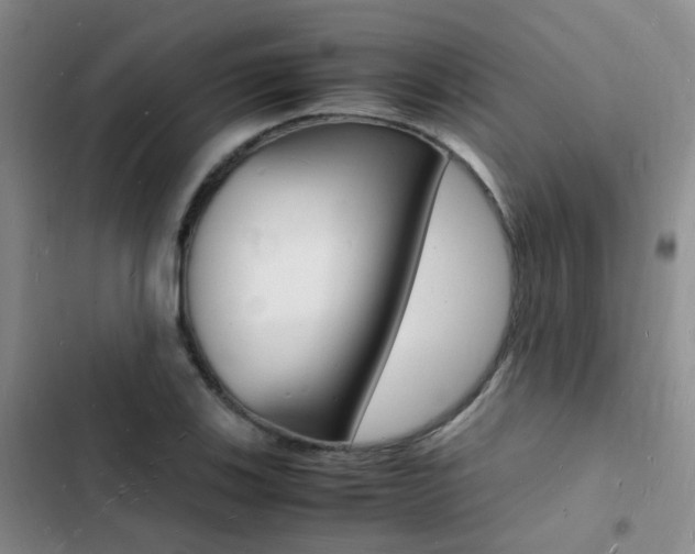 X0000103251123200808281050
