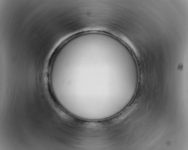 X0000103251124200808281050