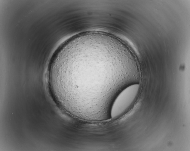 X0000103251125200808281050