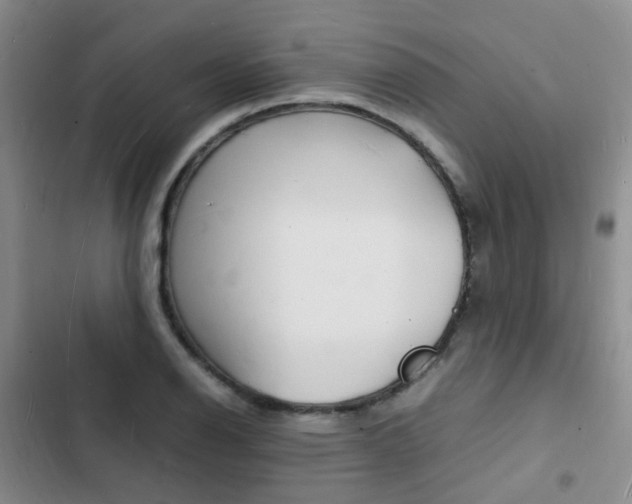 X0000103251126200808281050