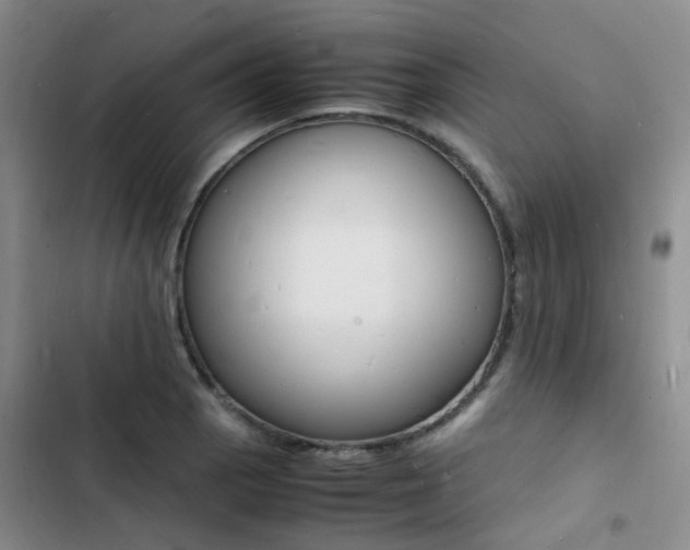 X0000103251129200808281050