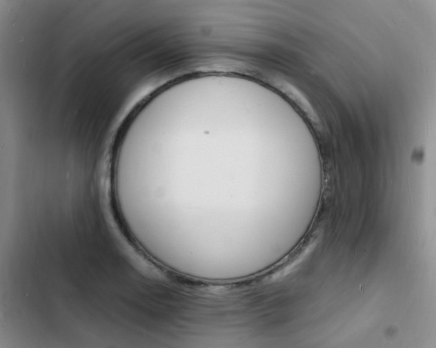 X0000103251130200808281050
