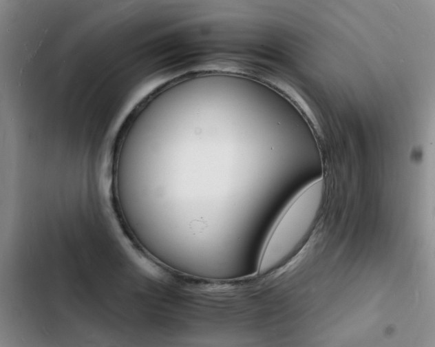 X0000103251131200808281050