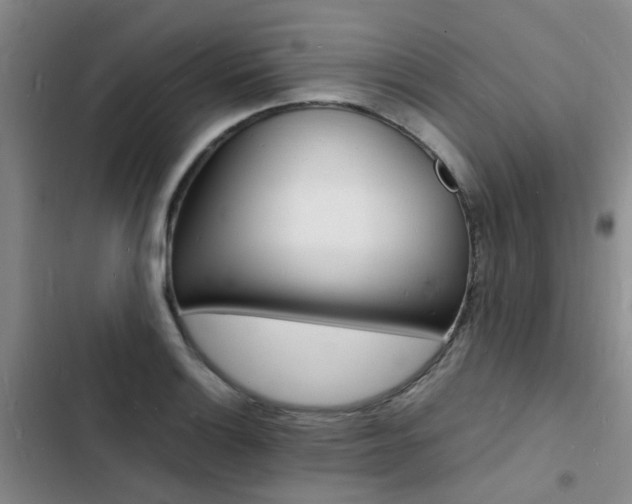 X0000103251132200808281050