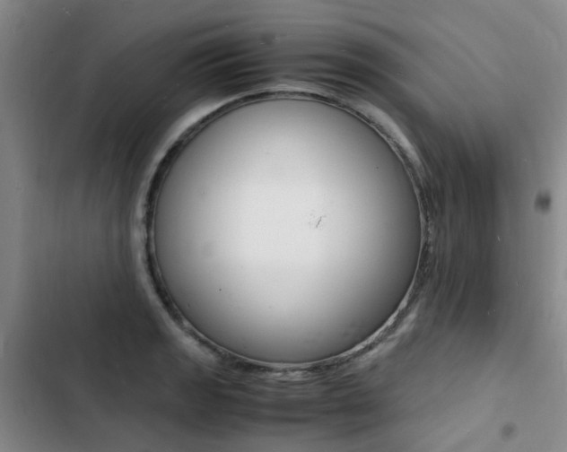X0000103251133200808281050