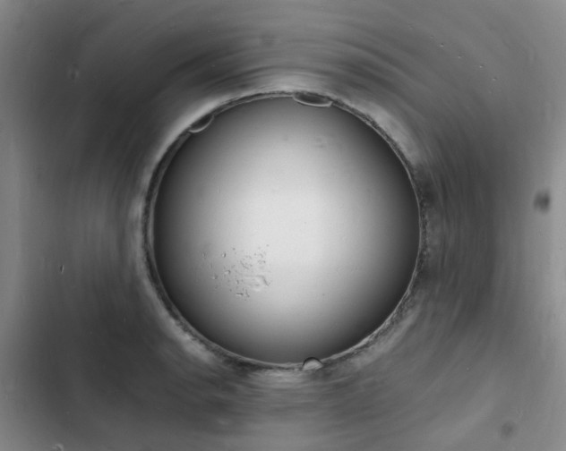 X0000103251134200808281050
