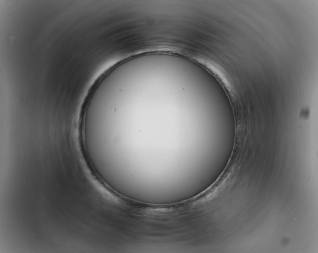 X0000103251135200808281050
