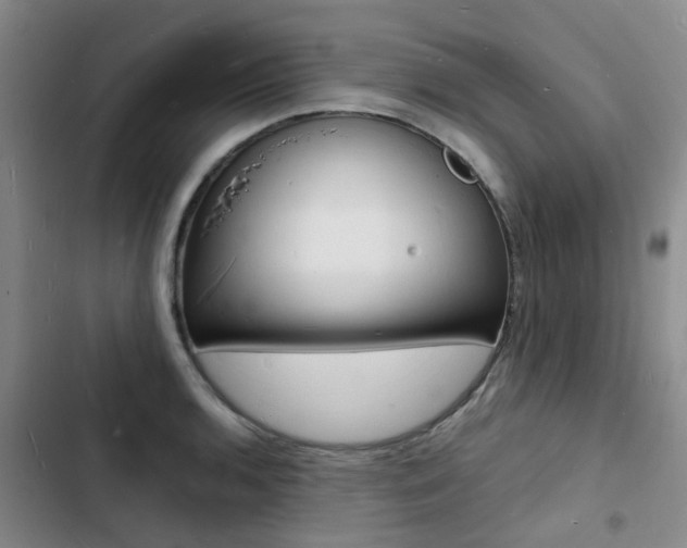 X0000103251136200808281050