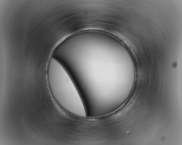 X0000103251137200808281050
