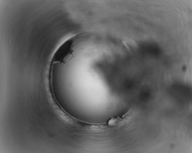 X0000103251138200808281050