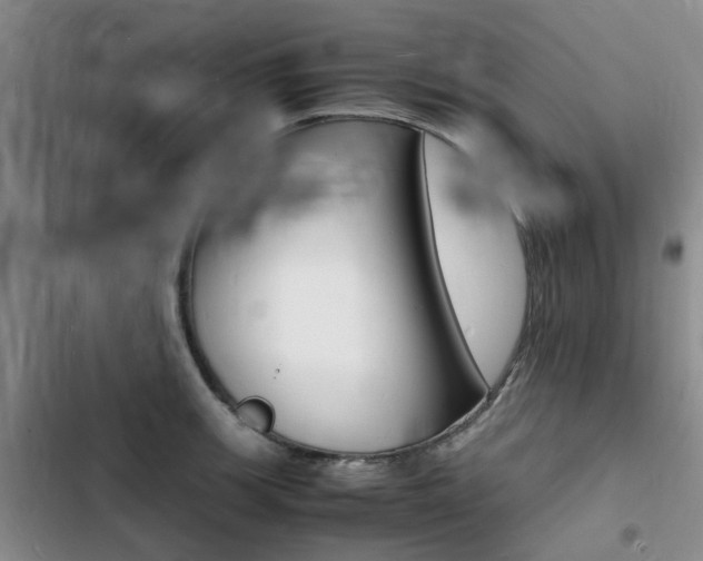 X0000103251139200808281050