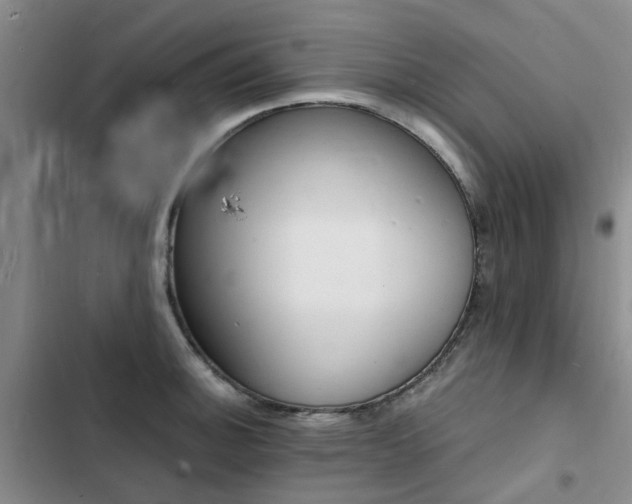 X0000103251140200808281050