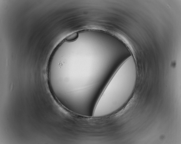 X0000103251141200808281050