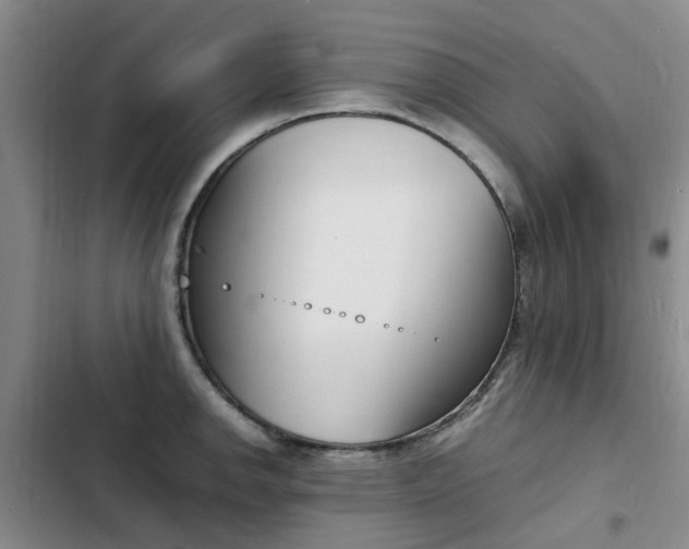 X0000103251142200808281050