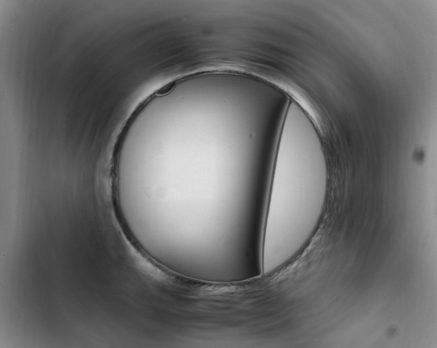 X0000103251143200808281050