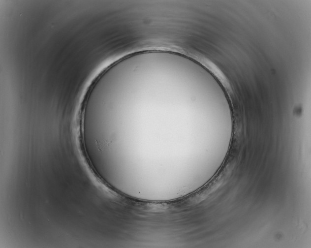 X0000103251144200808281050