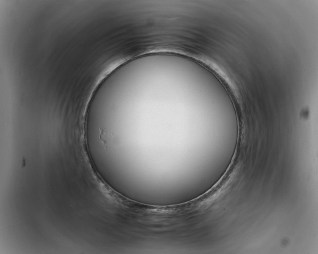 X0000103251145200808281050