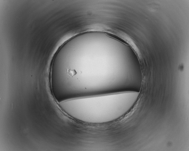 X0000103251146200808281050