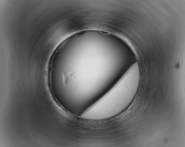 X0000103251147200808281050