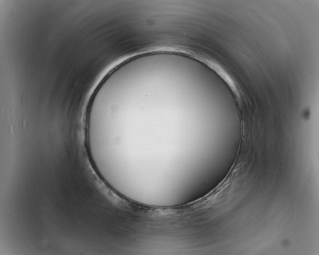 X0000103251148200808281051