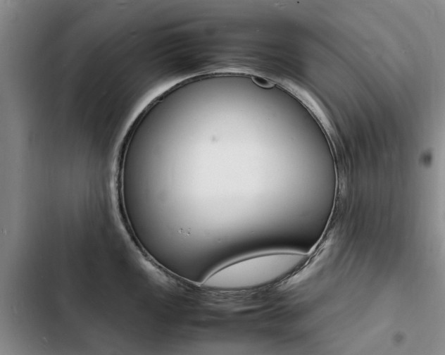 X0000103251149200808281051