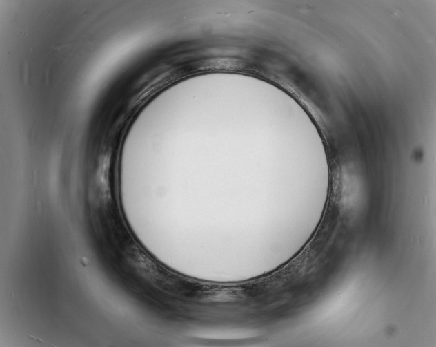 X0000103251150200808281051