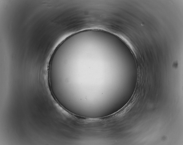 X0000103251151200808281051
