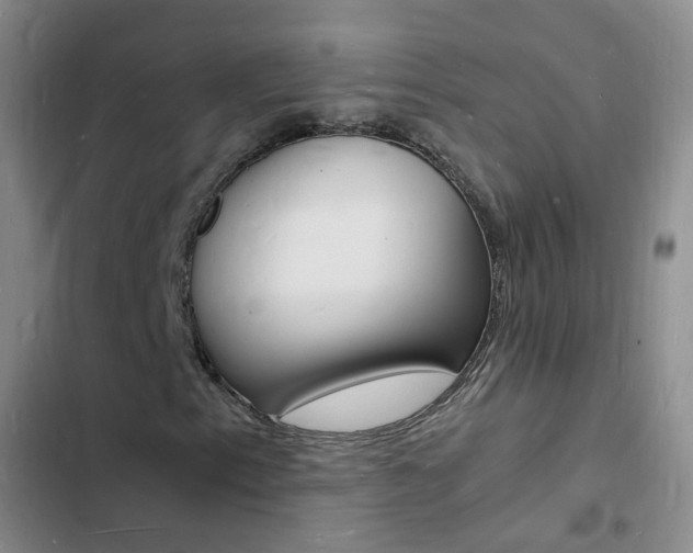 X0000103251153200808281050
