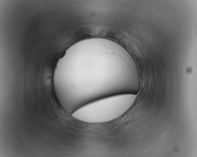 X0000103251154200808281050