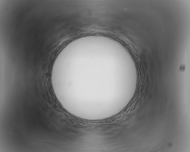 X0000103251157200808281050