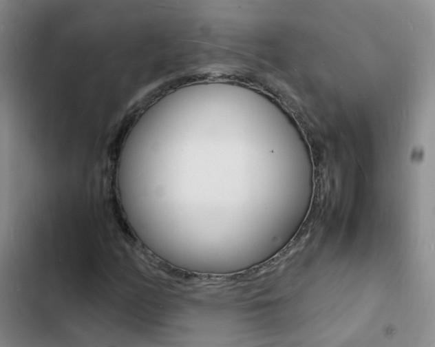 X0000103251158200808281050