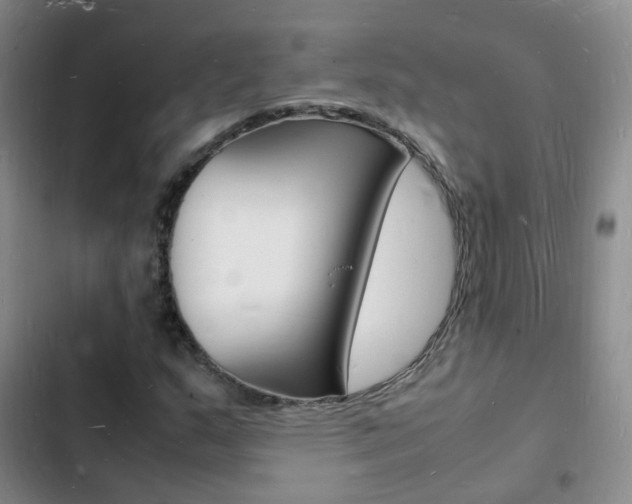 X0000103251159200808281050