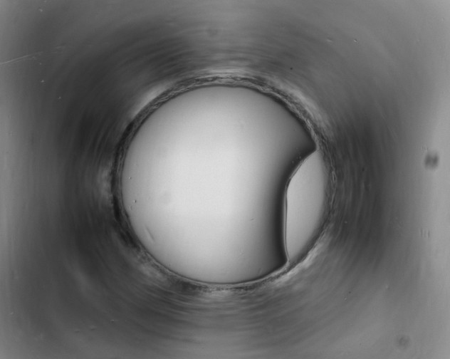 X0000103251162200808281050