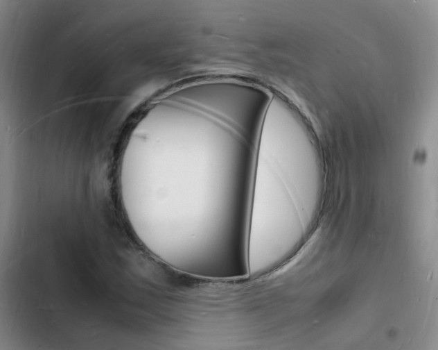 X0000103251163200808281050