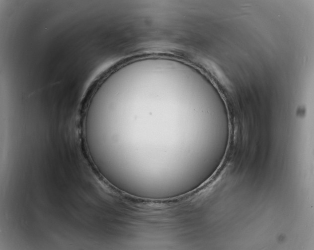 X0000103251164200808281050