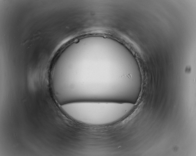 X0000103251166200808281050
